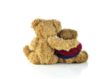 A photo of two teddy bears sitting facing away from the camera, with one teddy with its arm around the other