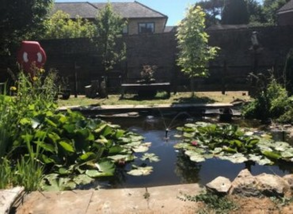 a photograph of a garden with a pond surrounded by plants, trees, flowers and benches