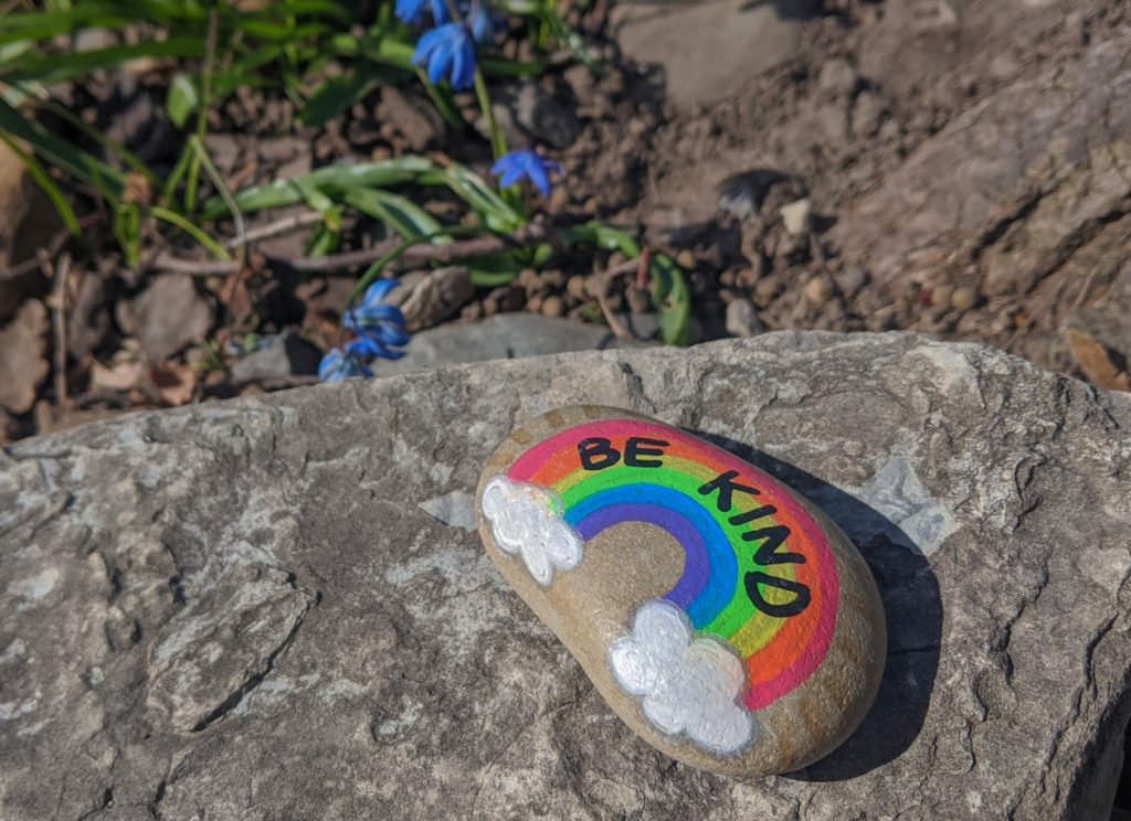 A photograph of a small stone painted with a rainbow and the words 'be kind' written on it, placed on a larger rock near some bluebells