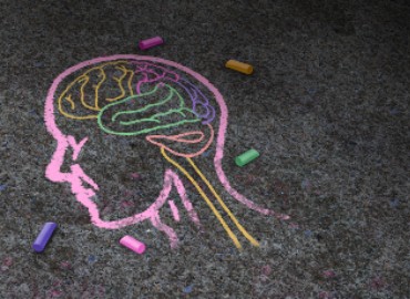 Brain drawn on floor in chalk