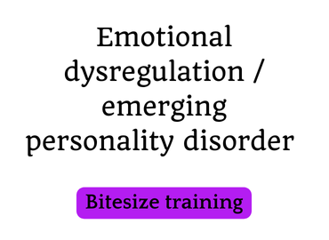 Emotional dysregulation / emerging personality disorder (text)