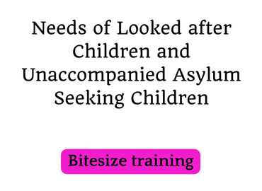 Needs of Looked after Children and Unaccompanied Asylum Seeking Children (text)