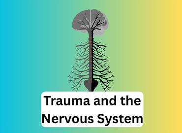 Trauma and the nervous system written with a colourful baclkground and an image of the nervous system